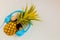 Fashion Hipster Pineapple on background, Bright Summer Color, Tr