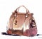 Fashion illustration with purse, female brown handbag