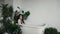 Fashion interior video of gorgeous pregnant woman with dark hair in lingerie posing in bathoom