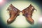 Fashion leather shoes brown vintage style.