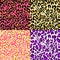 Fashion leopard color wallpapers variation