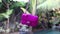Fashion luxury snakeskin python handbag in motion on a tropical garden background. Bali island. Small pink bag.