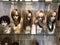 Fashion Mannequins in wigs.