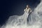 Fashion Model Beauty Dress, Waving Silver Cloth Gown, Woman