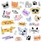 Fashion patch badges. Cats and dogs set. Stickers, pins, patches handwritten notes collection in cartoon 80s-90s comic