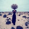 Fashion Photo. Girl in the desert with a bouquet dead branches