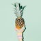 Fashion photo. Hand holding pineapple.