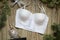 Fashion Push Up bra and panties set on the wooden festive background. Merry Christmas gift for women.