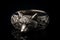 Fashion silver ring with a decorative fox on a wooden background Ai generative