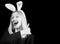 Fashion studio photo of sexy beautiful girl with blond hair with bunny ears. Hunting eggs. Rabbit woman wearing ears