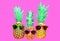 Fashion three pineapple with sunglasses on pink background