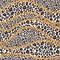 Fashion trendy seamless pattern with gold chains and leopard skin on white background