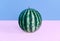 Fashion watermelon on pastel background.