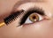 Fashion woman applying eyeshadow, mascara on eyelid, eyelash and eyebrow using makeup brush. Professional make-up artist