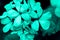 Fashionable abstract floral background in neo mint color