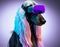 Fashionable Afghan hound dog wearing VR headset in fairy kei style