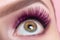 Fashionable bright eye makeup close-up. Female eye with pink violet shadows and false eyelashes, macro