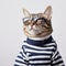 Fashionable Cat With Glasses And Striped Sweater