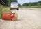 Fashionable Corgi dog sits on the road with a suitcase and a sign around his neck waiting for a passing car