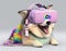 Fashionable corgi dog wearing VR headset in fairy kei style
