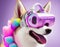 Fashionable corgi dog wearing VR headset in fairy kei style