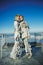 Fashionable girls in stylish clothes stand near an old bed; Against a frozen sea