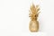 Fashionable golden pineapple delicious fruit rounded sweet on a white background