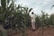 A fashionable guy is walking in a cornfield. Sunny day outside the city