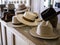 Fashionable hat display on retail store counter.