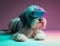 Fashionable havanese dog wearing VR headset in fairy kei style