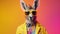 Fashionable Kangaroo In Punk Clothes With Surreal Hairstyle