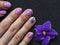 Fashionable lilac manicure design in the hand.