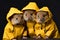 Fashionable mice group. Vibrant animal concept with stylish outfits on advertising background