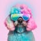 Fashionable poodle dog wearing glasses in fairy kei style