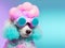 Fashionable poodle dog wearing glasses in fairy kei style