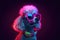 A fashionable poodle wearing glasses neon lights in the studio. Generative ai