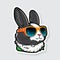 Fashionable rabbit in sunglasses. The glasses reflect glare in the form of lightning. Sticker. Illustration for t-shirt printing