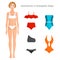 Fashionable swimwear for a rectangular shape. Vector illustration