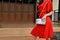 Fashionable woman in red dress holding leather snakeskin python bag. Close up of the purse in hands of a stylish lady