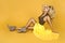 Fashionable woman in trendy yellow dress, shoes and accessories. Fashion spring summer photo. Country girl - Image