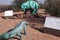 Fasolasuchus is an extinct genus of loricatan dinosaurs. Fossils have been found in the Los Colorados