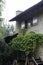 Fassade of an old farm house in trento with wodden stairs. On the old roof grows a kiwi fruit.