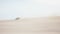 A fast 4x4 vehicle riding through desert dunes