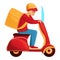 Fast bike delivery icon, cartoon style