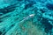 Fast boat at the sea in Bali, Indonesia. Aerial view of luxury floating boat on transparent turquoise water at sunny day. Seascape