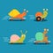 Fast characters snails cartoon vector of set