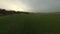 Fast cinematic drone flight in the field at sunset time. Pine forest and rows of sprouts. Aerial freestyle aerobatic