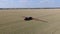 Fast driving self propelled sprayer on a wheat field, aerial footage