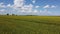 Fast drone shot of rapeseed fields on a sunny day