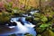 Fast flowing brook